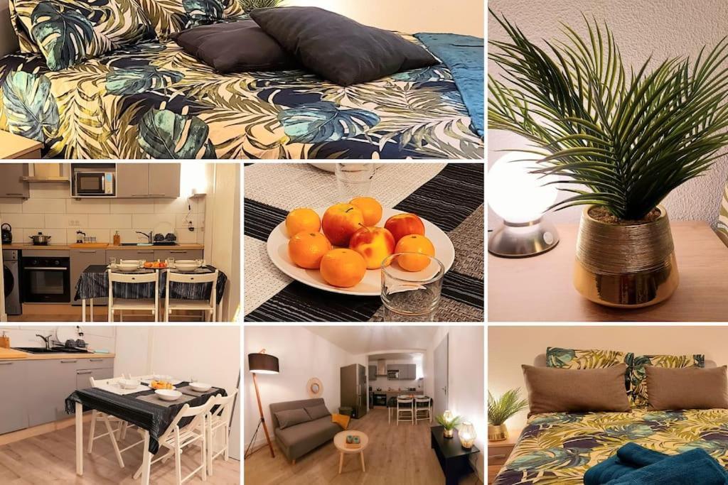Apartamento Zenith - Cartoucherie - Purpan Toulouse Exterior foto